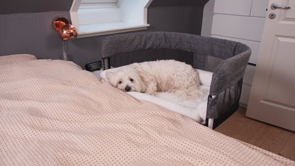 Close2Me Pet Bed - Type A