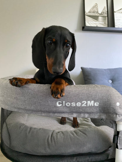 Close2Me Pet Bed - Type A